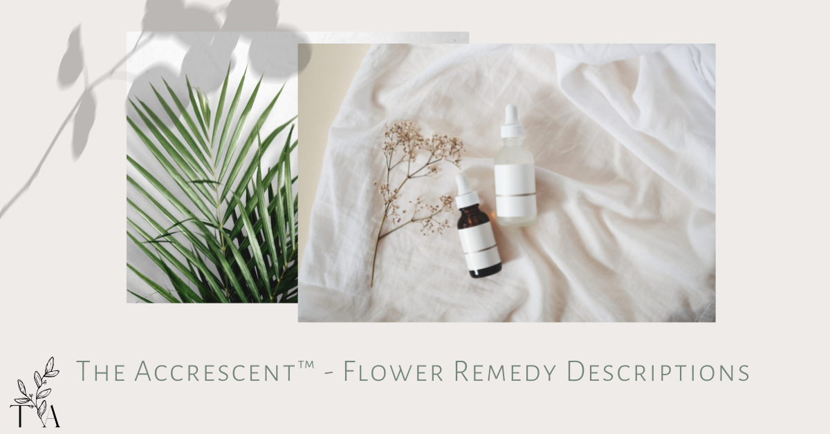 Flower Remedy Descriptions The Accrescent™