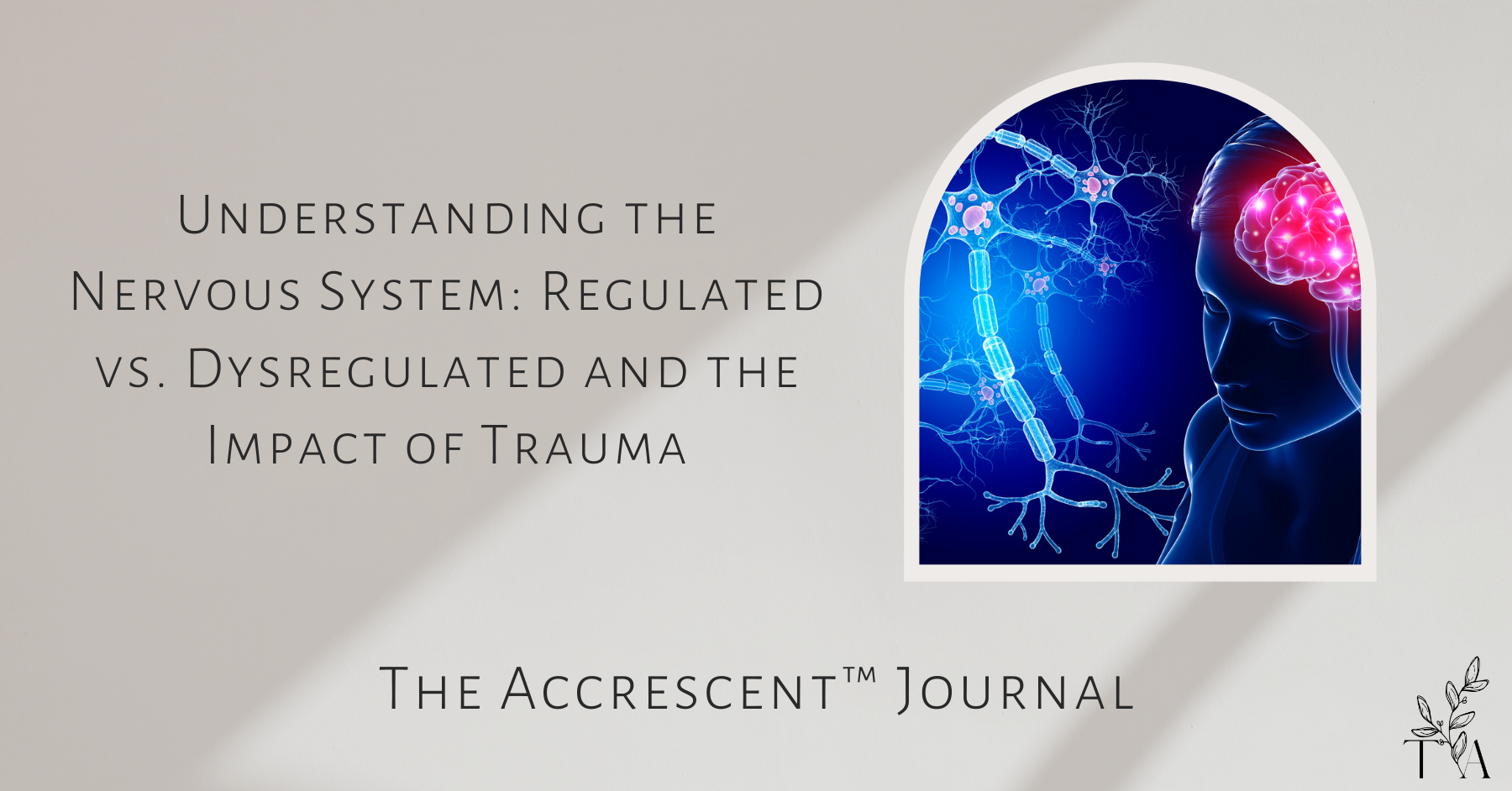 Understanding The Nervous System Regulated Vs Dysregulated And The